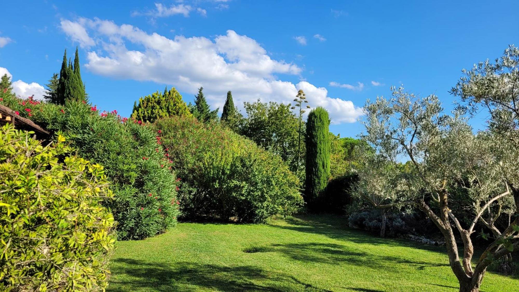 Mas Des Marguerites Bed & Breakfast Maussane-les-Alpilles Exterior photo